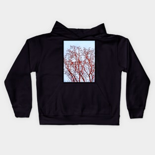 Tulip Tree in Winter Sunset Kids Hoodie